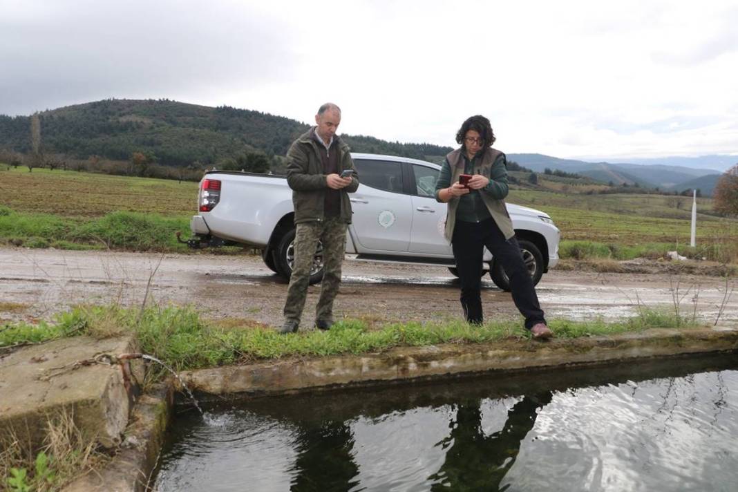 Yol kenarında tesadüfen bulundu: Zoologlar apar topar bu ilimize gitti! Meğer eskiden Kuzey Anadolu'da yaygınmış 6